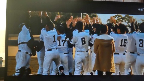 453446566_1875768359591780_4516824839403625601_n