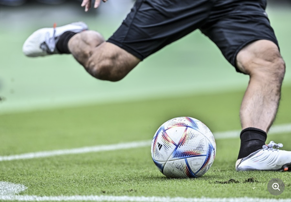 スクリーンショット 2023-11-30 7.29.06