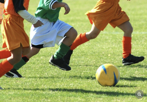 スクリーンショット 2022-11-19 20.18.07