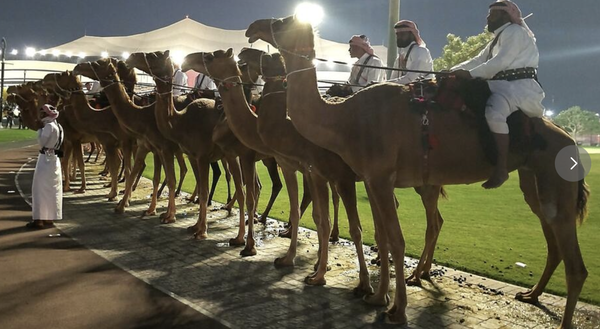 スクリーンショット 2022-12-12 15.34.22