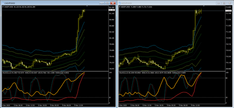 CADJPY_NZDJPYM301110a