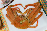 kani