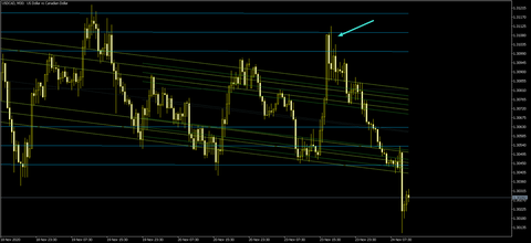 USDCADM301124