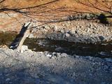 20061202-nippara3