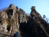 20061202-nippara4