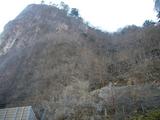 20061202-nippara2