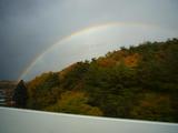 20071111-niji