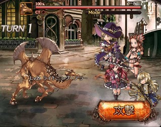 ラクダ