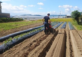 畝立作業