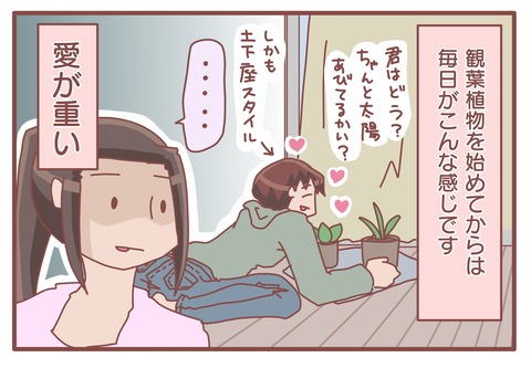 植物2