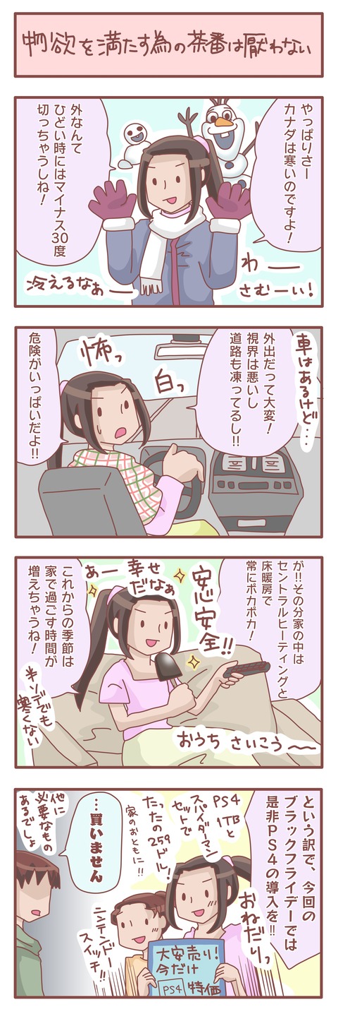 ブラックフライデー