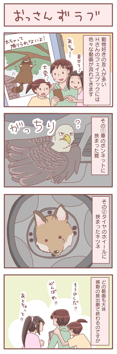 動物問題