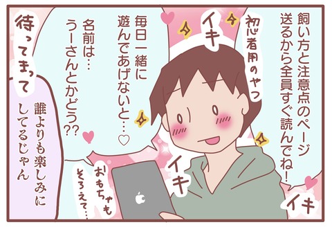 rabbit 12