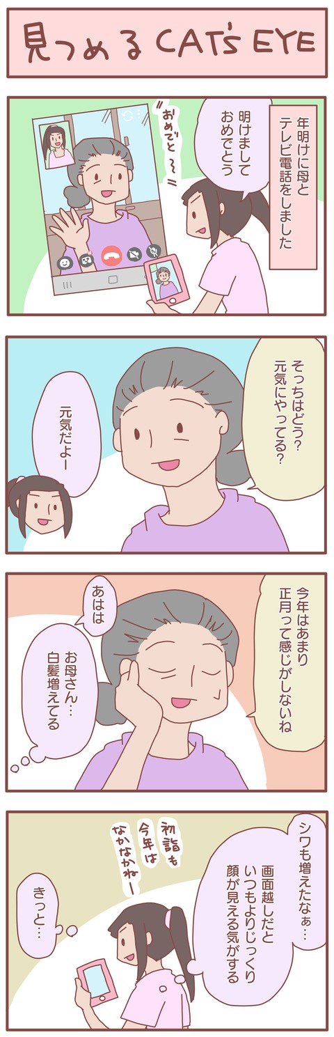 テレビ電話