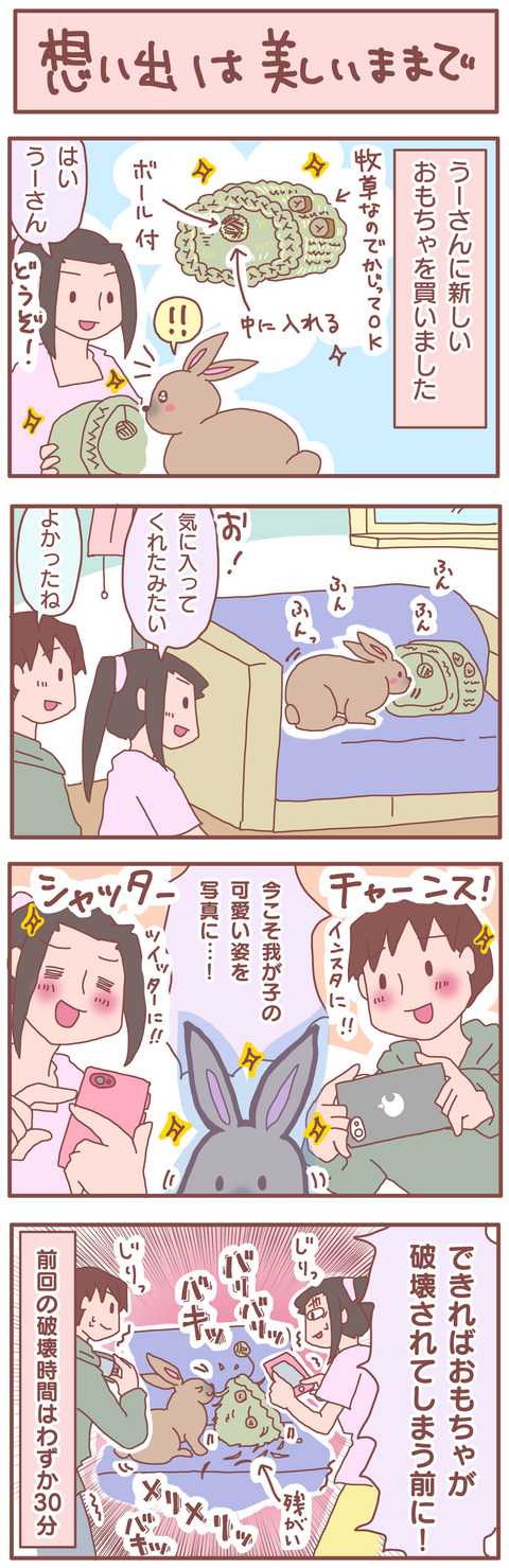 64AB29DE-C343-47EB-99A7-E4C74D565D20