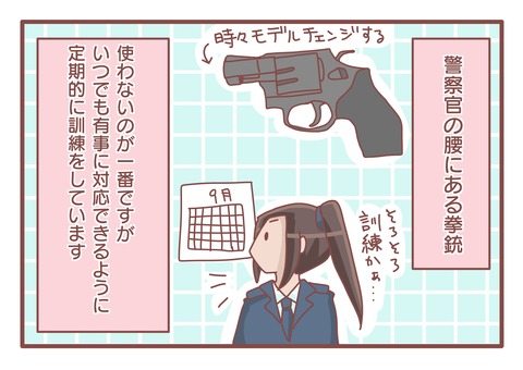 拳銃訓練s