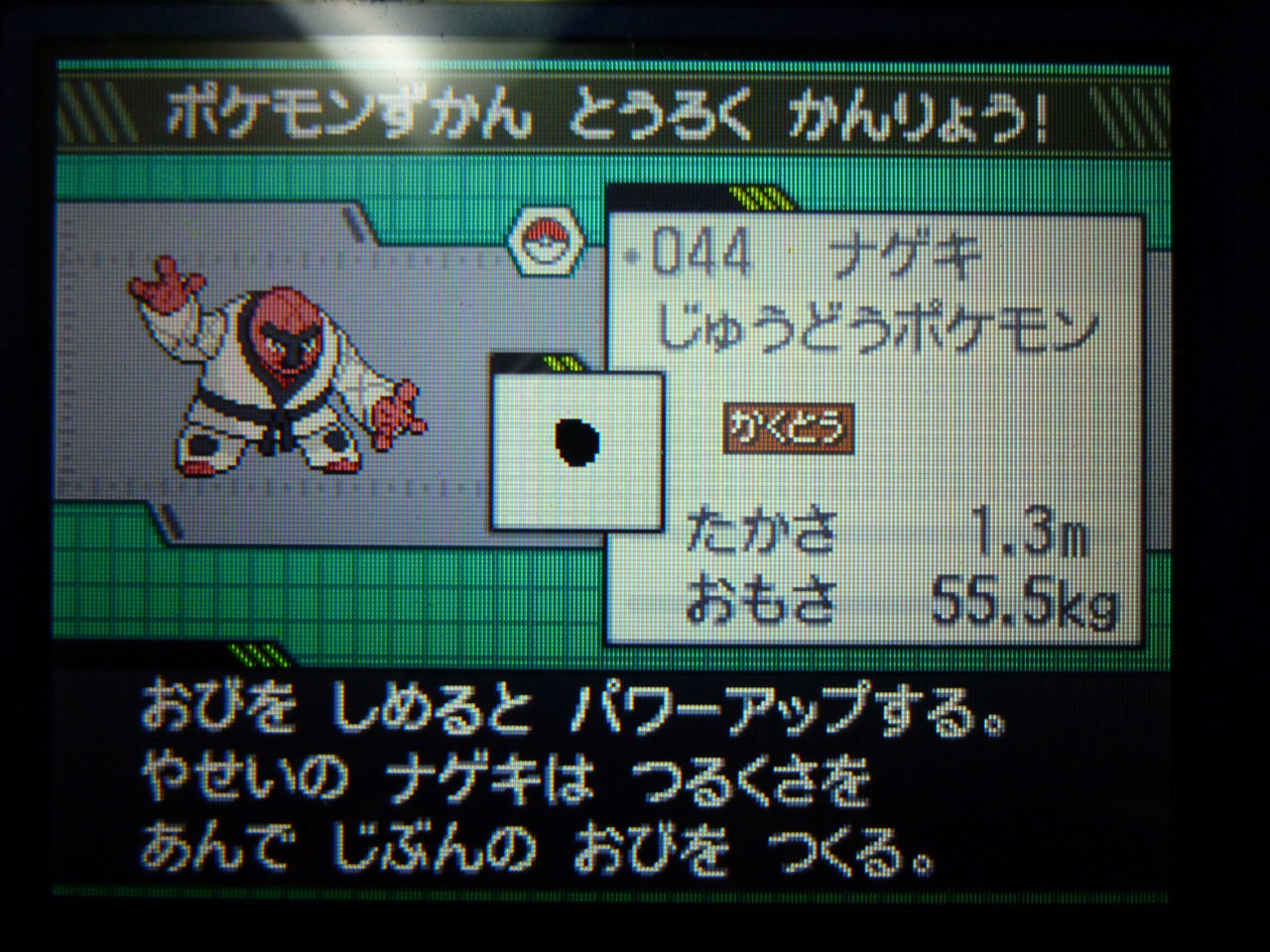 ポケモンブラック攻略日誌 こいしちゃん好きの憩いの場