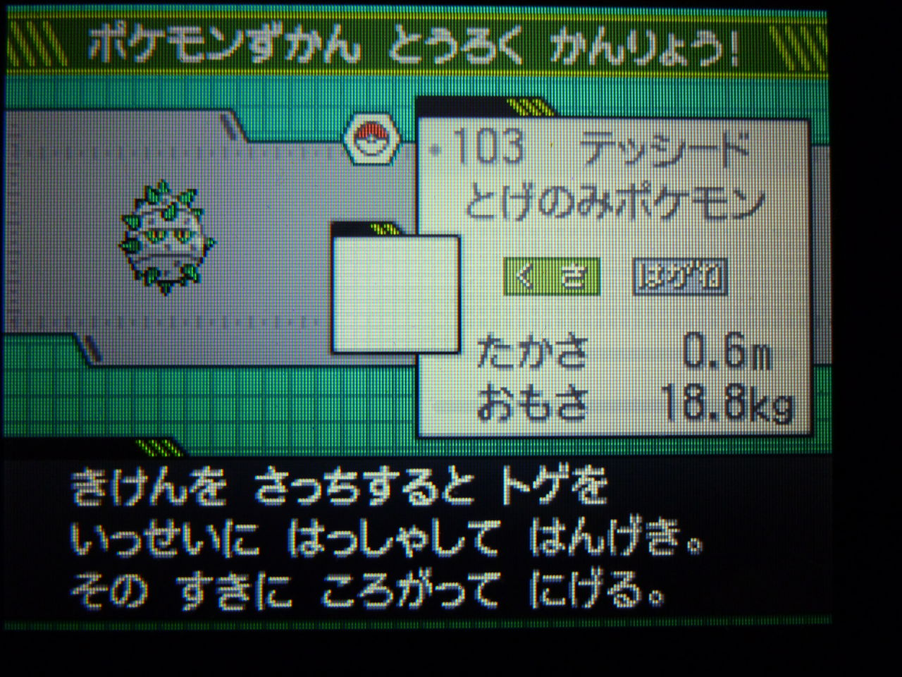 ポケモンブラック攻略日誌 こいしちゃん好きの憩いの場