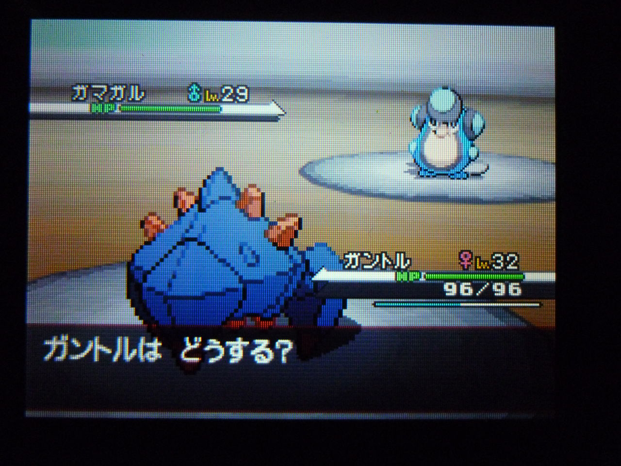 ポケモンブラック攻略日誌 こいしちゃん好きの憩いの場 ポケモンブラック攻略日誌 こいしちゃん好きの憩いの場
