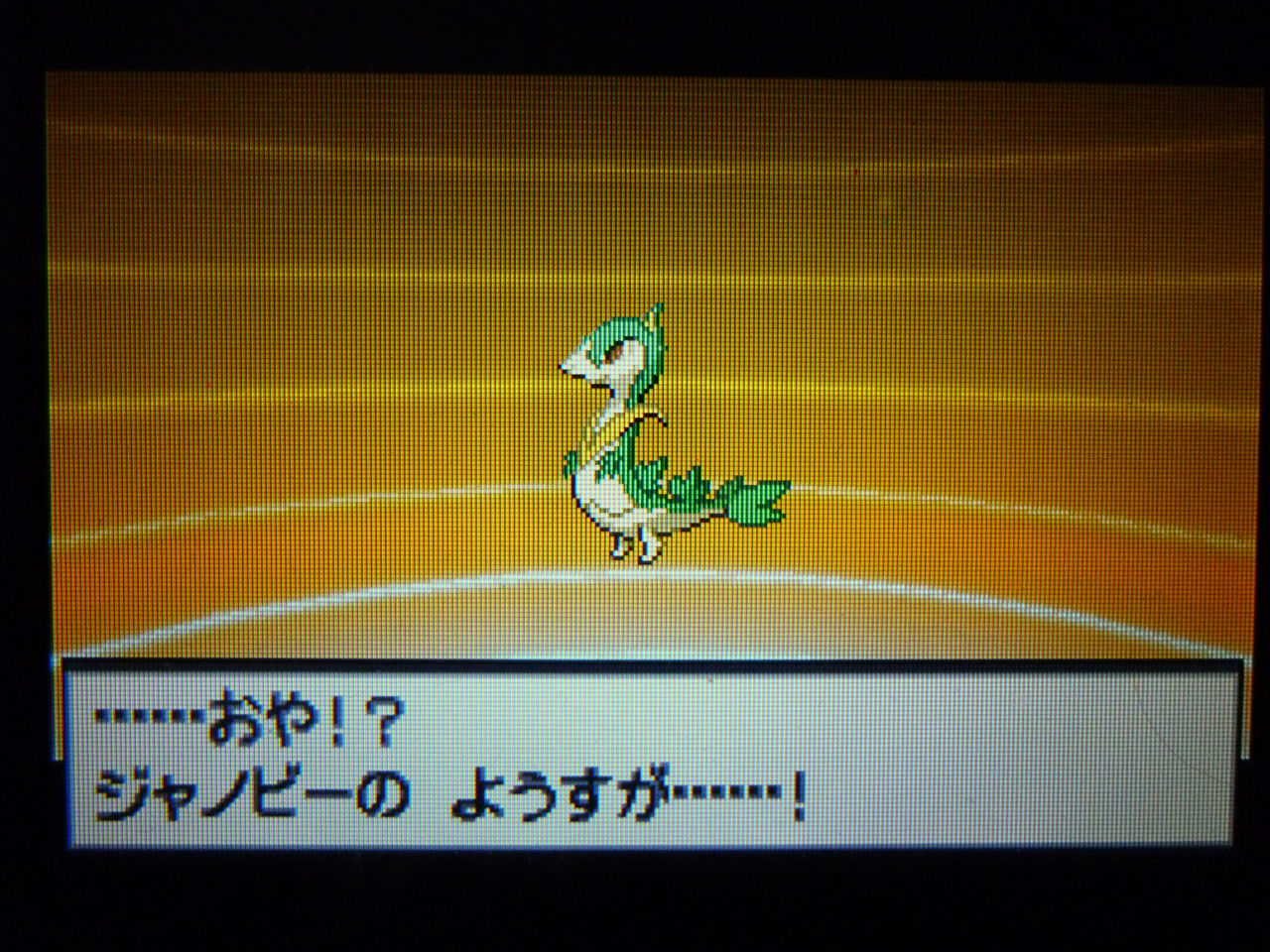 ポケモンブラック攻略日誌 こいしちゃん好きの憩いの場