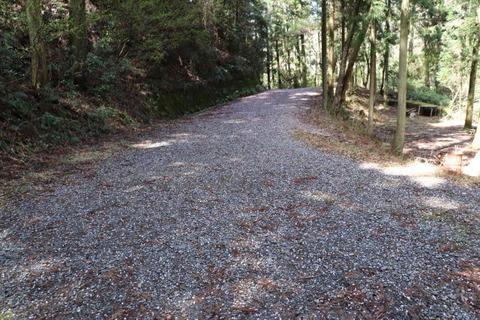 5日三叉広場前の路上