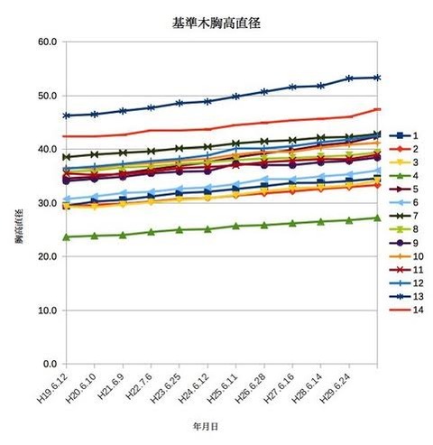 20180612胸高径追跡