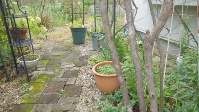 DSC07881