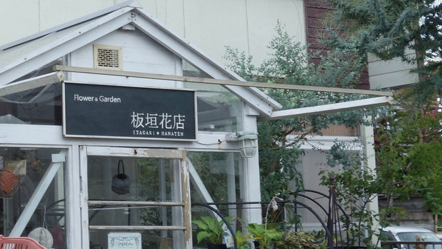 お洒落なお花屋さんを改装します 仙台 サンアイホーム工事ブログ お洒落なお花屋さんを改装します 仙台 サンアイホーム工事ブログ