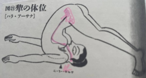 449313872_7859474310798959_5723734209381645504_n