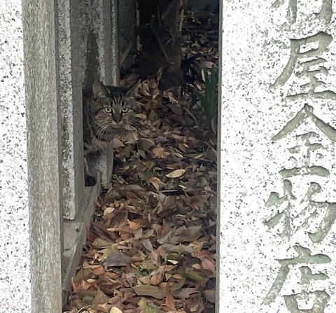 589602349_25281114274875026_3000019046108423661_n