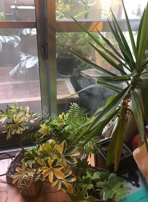 72884187_2491991100880667_2787819682210512896_n