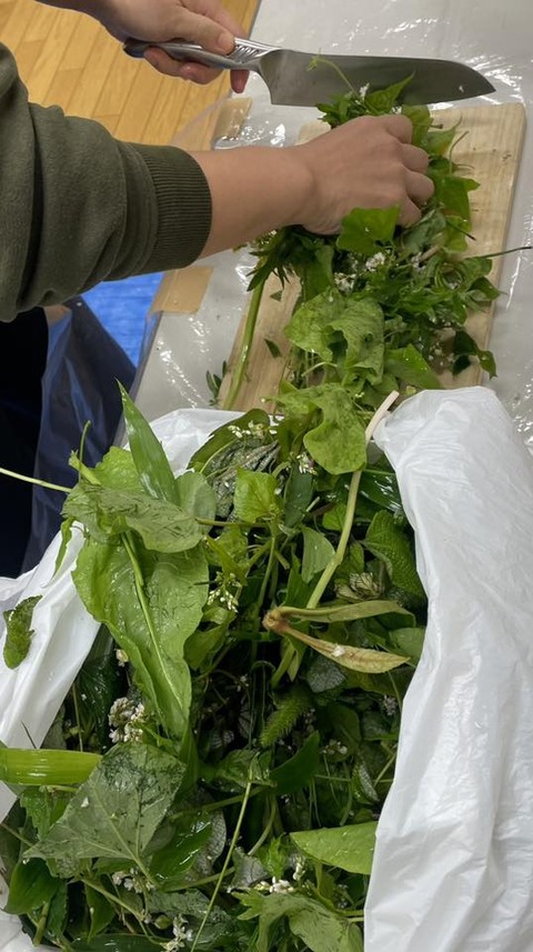 571196905_25004411805878609_8550208499571125719_n