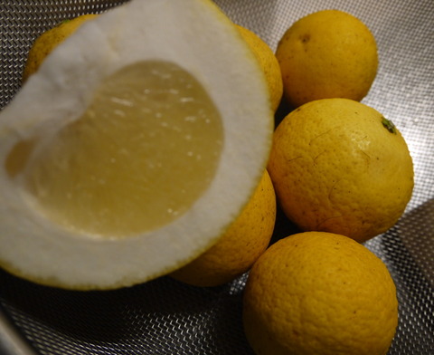 P1390145