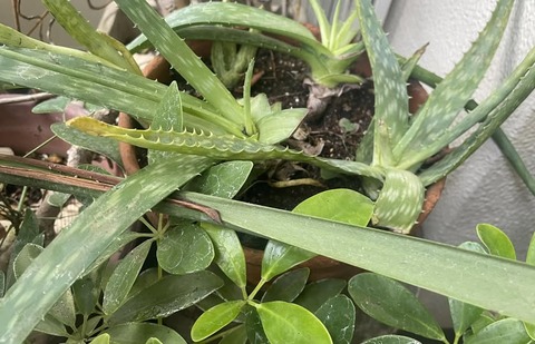 578266226_25122416250744830_835716583406220953_n