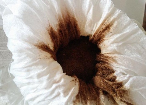 21151214_1467614239985030_3635578566465169634_n