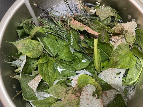 579973834_25140574945595627_3519035550622277449_n