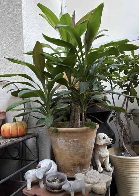 611956513_25608535978799519_6032262506268024217_n