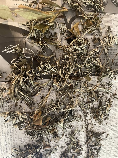 499219176_9929904813755888_4988730674571864903_n