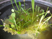 P1060776 (1)