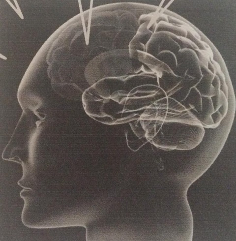 34341773_1736898123056639_1413124423128449024_n