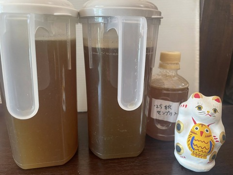 589156571_25273672285619225_5797567407152490733_n