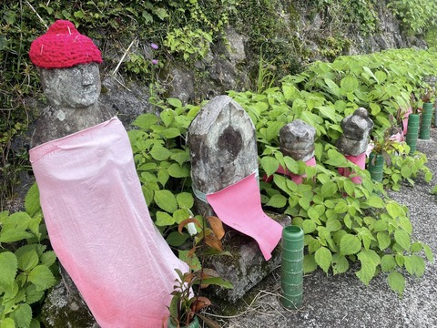 504125154_10052913864788315_7979227472110300389_n