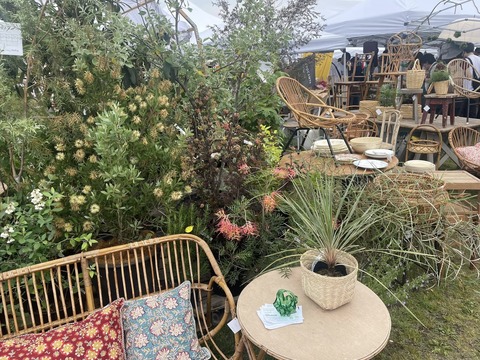 495003948_9921192327960470_4478613758663131211_n