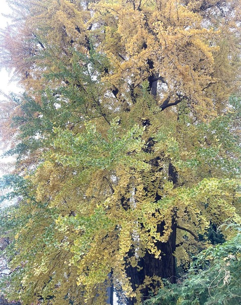 588814680_25281117938207993_2455998422559347175_n