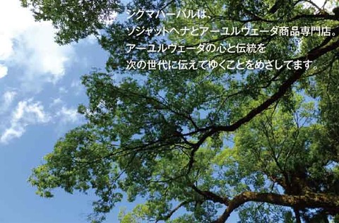 55552015