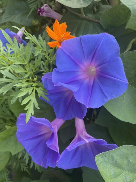 525146516_24209159268737204_1199762967662855959_n