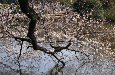 P1380858
