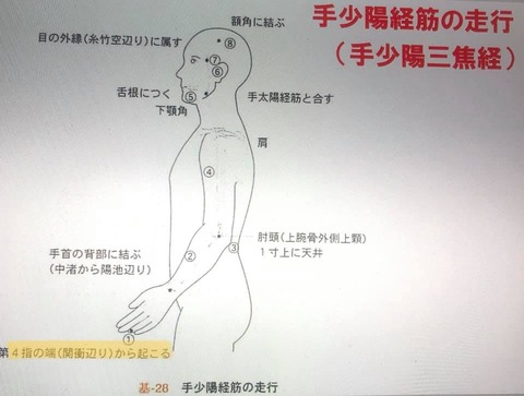 123289269_3469130716500029_1026160465930622869_n