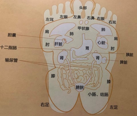 105865843_3083980268348411_7421032009437991607_n