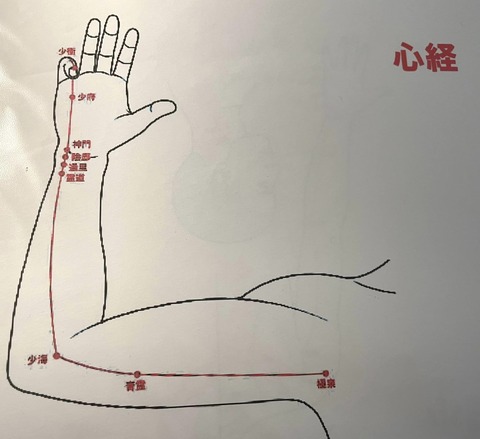354978562_6380700348676370_2619531769483088548_n